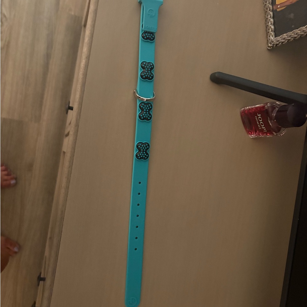 Teal Dog Collar with Black Paw Prints